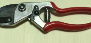 Forbice Felco battente 31