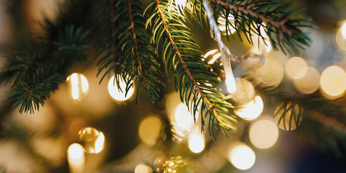L'albero di Natale: il cuore scintillante delle feste!