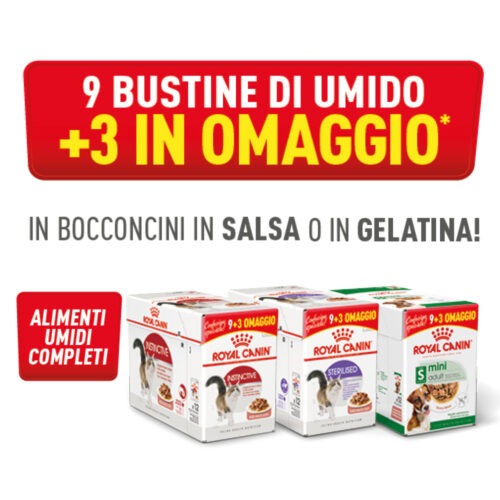 blog_luglio_ROYALCANIN6 blog_luglio_ROYALCANIN6
