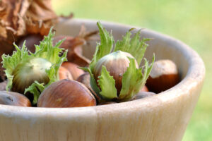 blog_AGOSTO-nocciole5 blog_AGOSTO-nocciole5