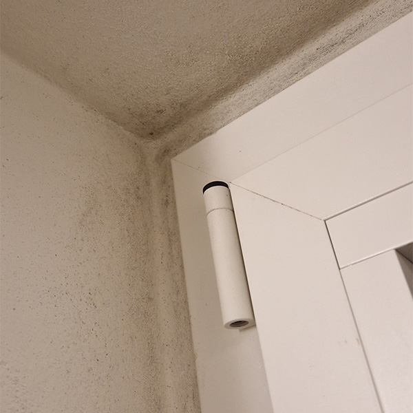 IMG-20260408-WA0063_Blog